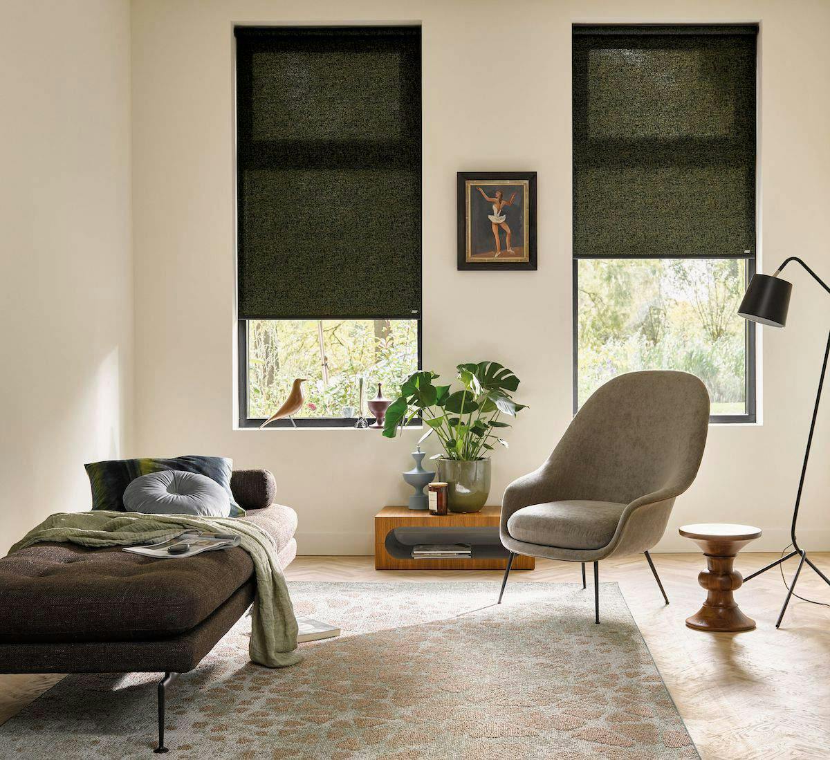 Living room blinds